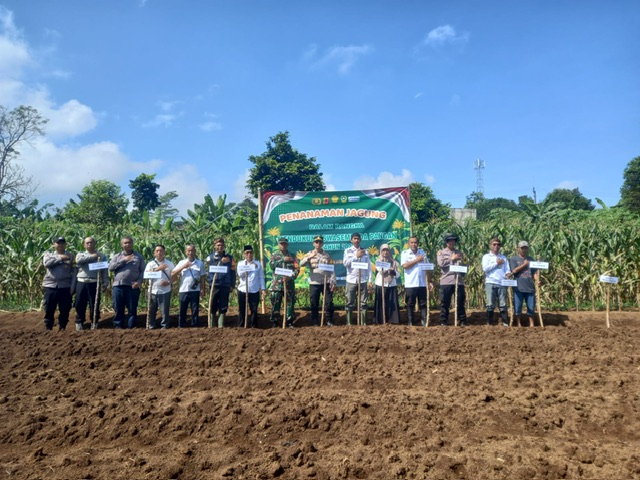 Dukung Program Swasembada Pangan, Polsek Caringin Laksanakan Penanaman Jagung