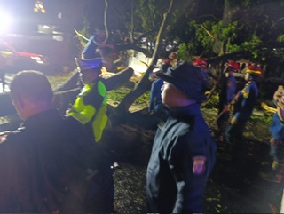 Pohon Tumbang di Jalan Raya Gadog, Polsek Ciawi Bersama Stakeholder Lakukan Pembersihan